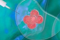 鄂州三代试管费用概览，试管费用如何通过医保报销